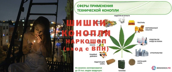 МДПВ Алексин