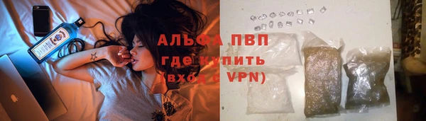 гашик Алзамай