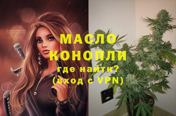 МДПВ Алексин