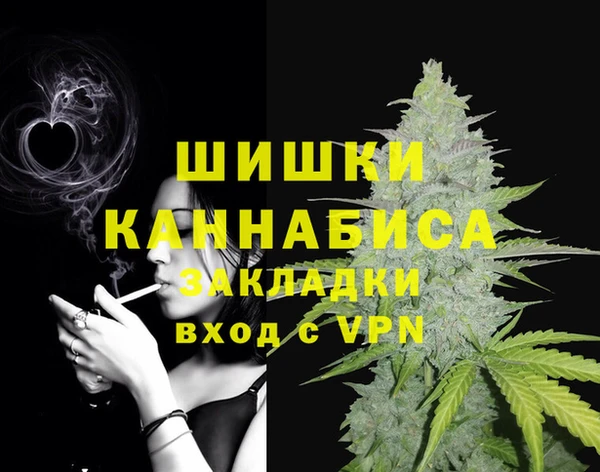 гашик Алзамай