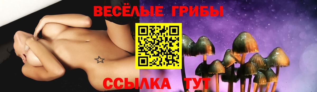 Псилоцибиновые грибы ЛСД Урай